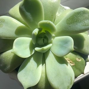 Meet your Posher, Christina